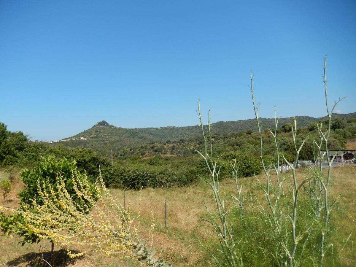 Apartamento Nuit Calme Sur Domaine Calcatoggio  Exterior foto