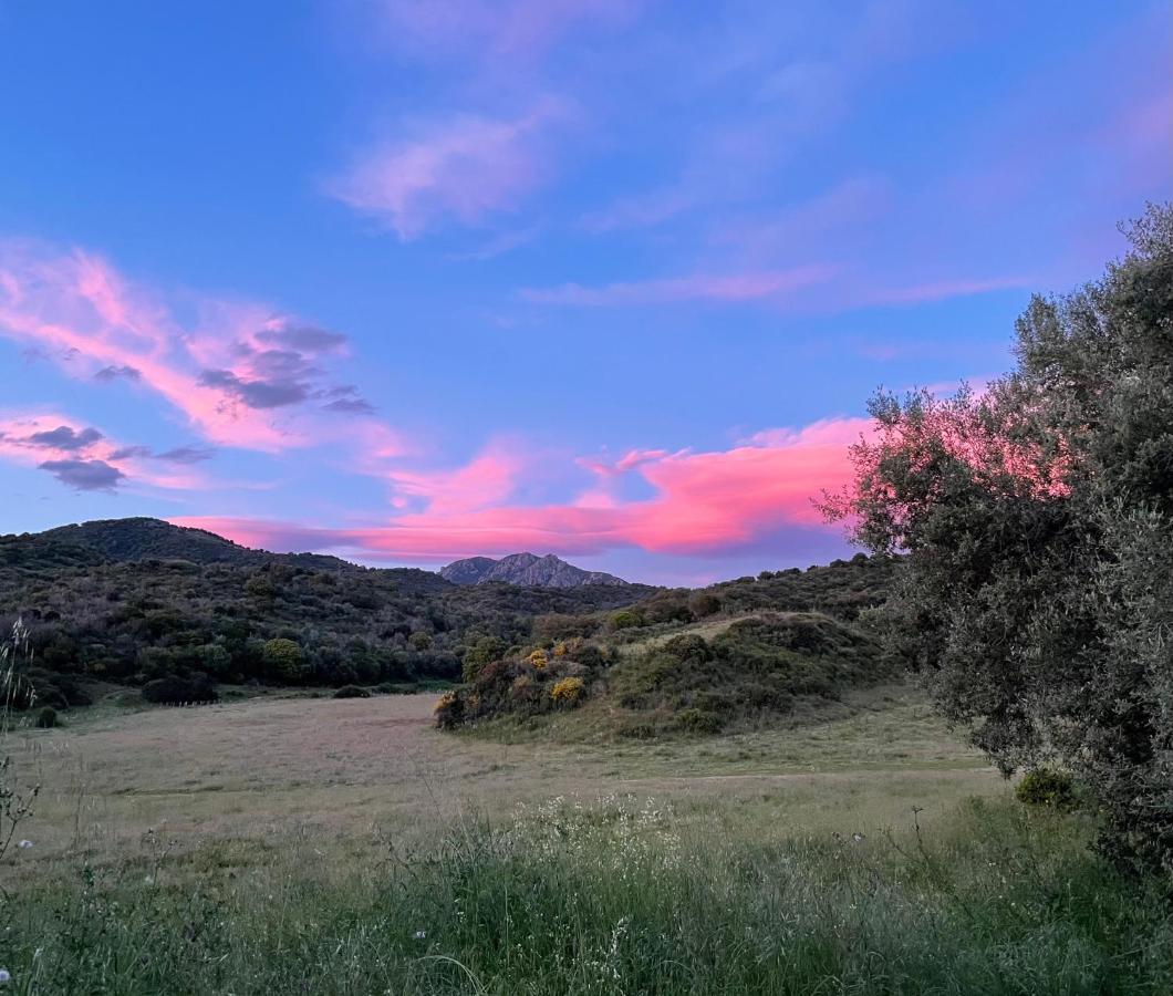 Apartamento Nuit Calme Sur Domaine Calcatoggio  Exterior foto