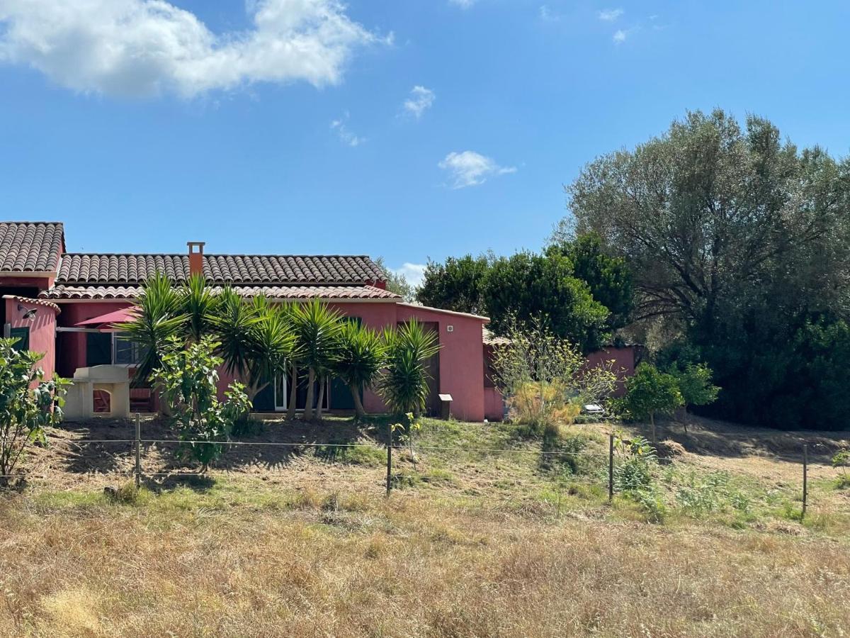 Apartamento Nuit Calme Sur Domaine Calcatoggio  Exterior foto