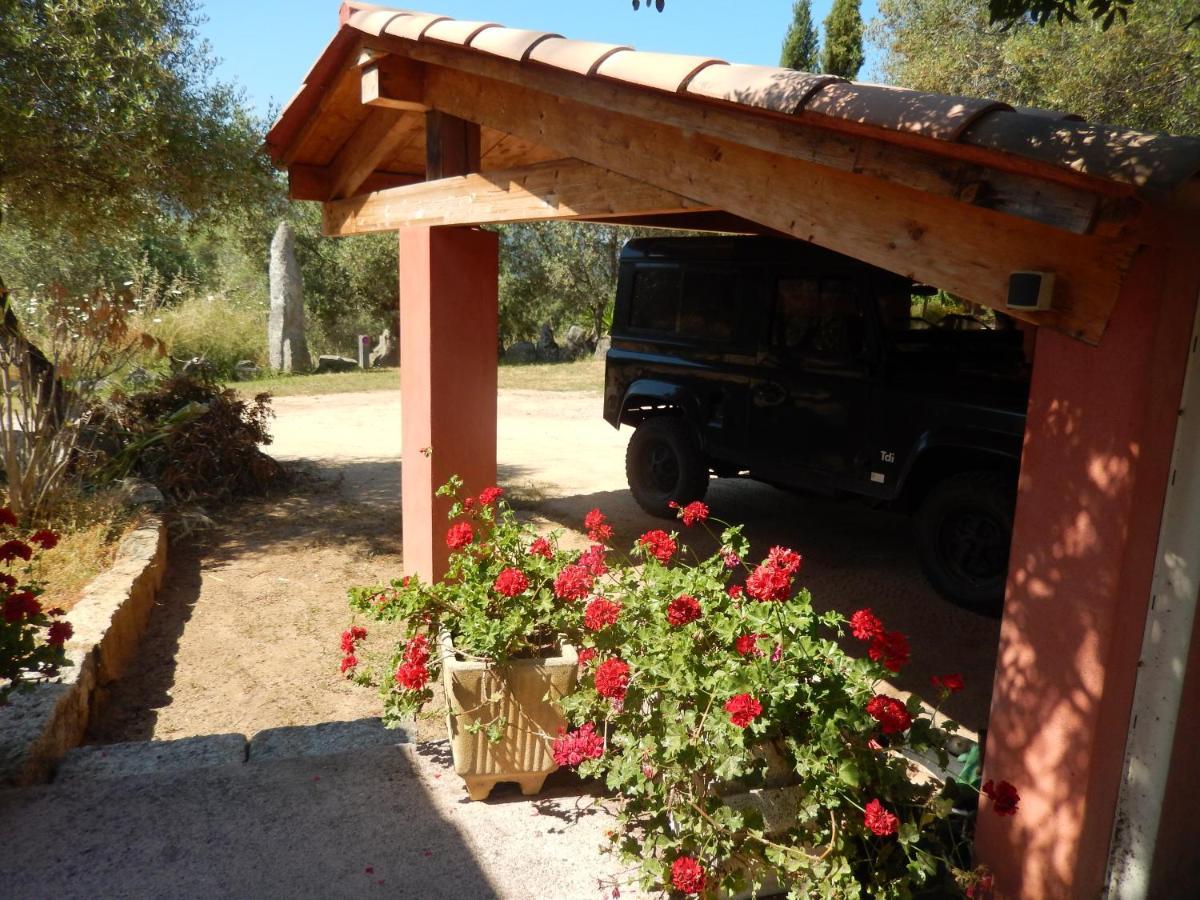 Apartamento Nuit Calme Sur Domaine Calcatoggio  Exterior foto