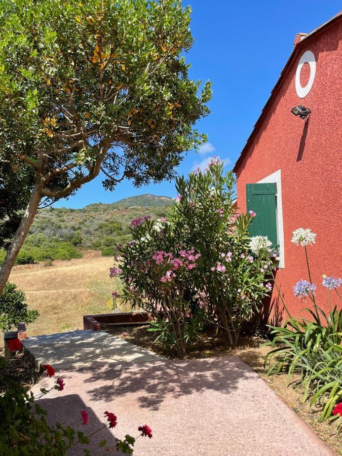 Apartamento Nuit Calme Sur Domaine Calcatoggio  Exterior foto