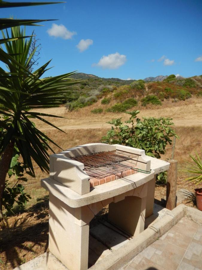 Apartamento Nuit Calme Sur Domaine Calcatoggio  Exterior foto